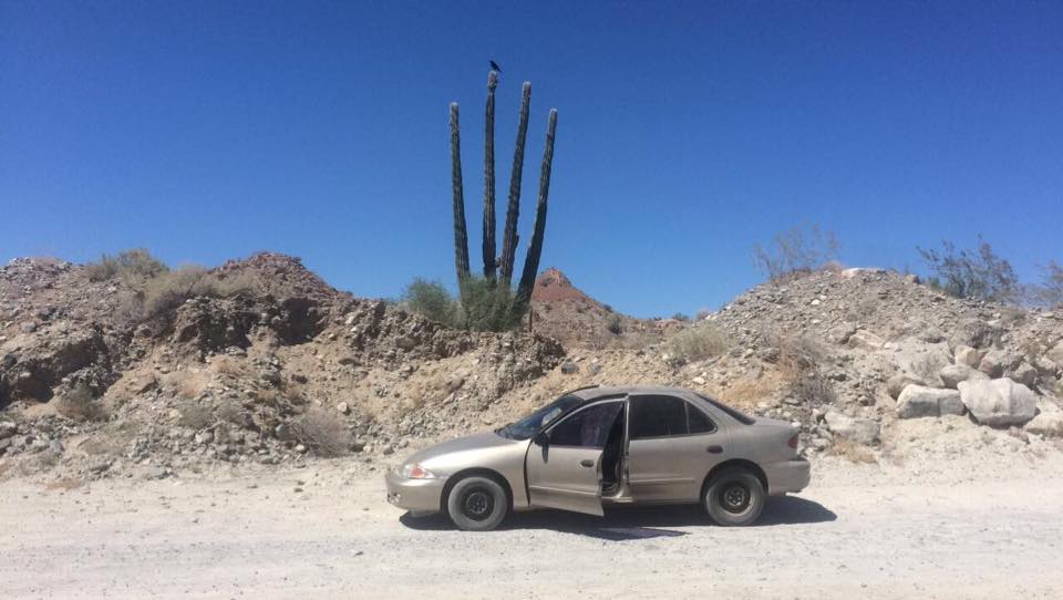 20800352_10203739357080712_7038211967015796180_n