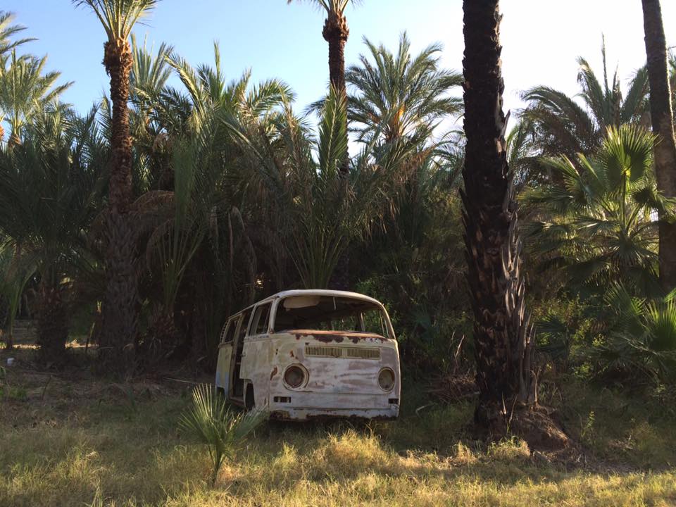 21106788_10154649414945940_6265138166706513669_n