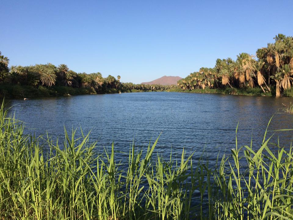 21150306_10154649414975940_8912228508887652197_n