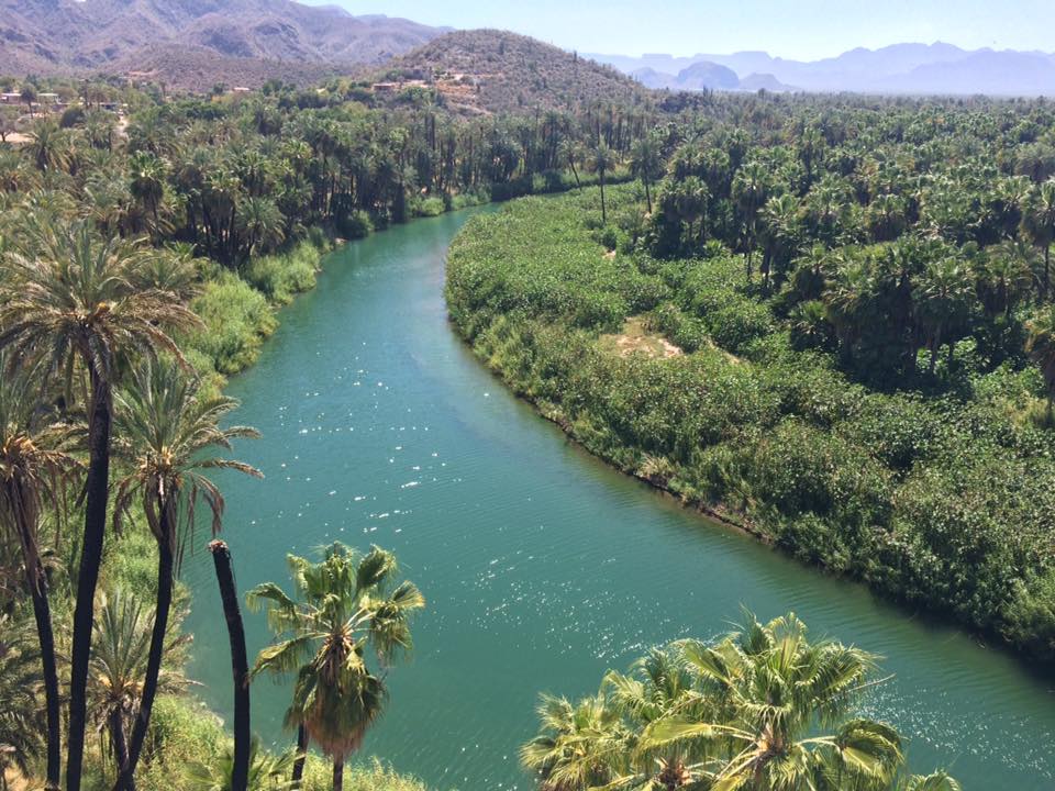 21150334_10154649489205940_8025803830100187338_n