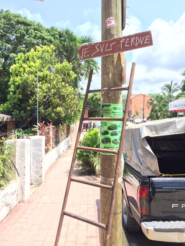 21743361_10154679160895940_6889914690543034652_n